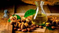 PREMIUM QUALITY PLANT BASED SACHA INCHI