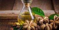 NATURAL SACHA INCHI FOR DAILY HEALTH