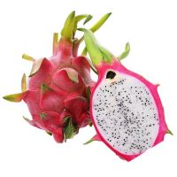 TOP SALES WHOLESALE WHITE DRAGON FRUIT
