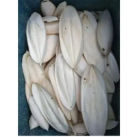 WHOLESALE CUTTLEBONE BULK EXPORT WITH COMPETITIVE
