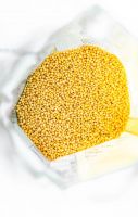 VIETNAM MILLET GRAIN BULK SUPPLY HIGH