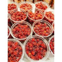SALTED LEMON GOOSEBERRY JAM PREMIUM QUALITY