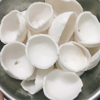 VIETNAM FROZEN COCONUT RICE CHUNKS PERFECT