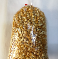 WHOLE DRIED WAXY CORN KERNELS CLEAN