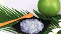 NATA DE COCO PREMIUM QUALITY NATURAL