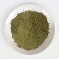 PREMIUM QUALITY PERILLA LEAF POWDER WHOLESALE