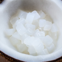 FRESH NATA DE COCO BULK EXPORT