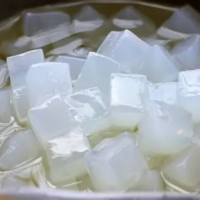 NATA DE COCO IN SYRUP PREMIUM