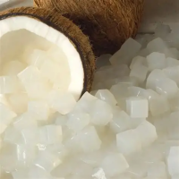 CLEAN LABEL NATA DE COCO READY