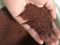 HIGH QUALITY FIVE FLOWER SEEDS FOR
