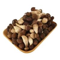 CLEAN LABEL DRIED TERMITE MUSHROOM NO