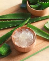 HIGH GRADE ALOE VERA CUBES PROCESSED