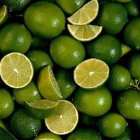 PREMIUM FRESH LIME FOR EXPORT MARKET