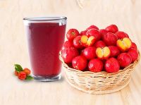 NATURAL ACEROLA JUICE SUPERFRUIT INGREDIENT