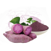 HIGH QUALITY SWEET POTATO FLOUR FOR
