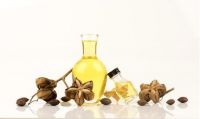 PREMIUM SACHA INCHI OIL FOR BEAUTY