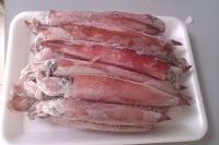 VIETNAM ORIGIN FROZEN SQUID FLOWER CUT