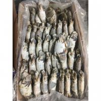 HIGH NUTRITION FROZEN PASTEURIZED SWIMMING CRAB
