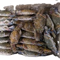IQF FROZEN FLOWER CRAB WHOLE ROUND