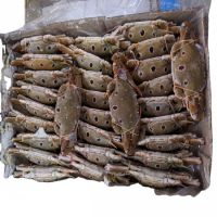 FROZEN BLUE SWIMMING CRAB CUT IN
