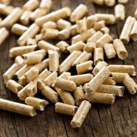 Premium Wood pellet 