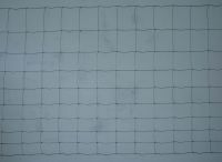 cattle  fence