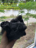 RECYCLED POLYESTER STAPLE FIBER 15D X