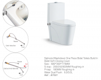 Build-in Bidet Toilet  BT001