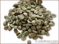  Export Green Coffee Beans | Green Coffee Bean Importer | Green Coffee Beans Buyer | Buy Green Coffee Beans | Green Coffee Bean Wholesaler | Green Coffee Bean Manufacturer | Best Green Coffee Bean Exporter | Low Price Green Coffee Beans | Best Quality Gre