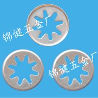 Piston Ring/metal Shield For Motor