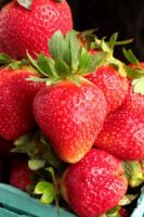 Fresh Strawberries Class 1, Frozen Strawberries IFQ