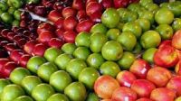 Fresh Class 1 Red Delicious Apples,Fuji Apples,Royal Gala Apples and Granny Smith Apples
