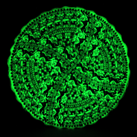 Highlighter Tile