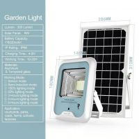 Solar Garden Light