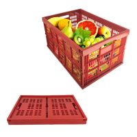 Mesh Style Foldable Plastic Storage Crate for Ftuits and Vegetables