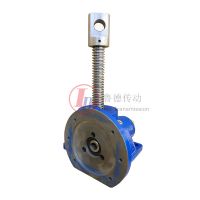 Machine Worm Gear Screw Jack