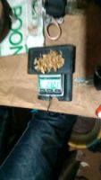 Gold Bar