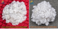 Polyester Staple Fiber