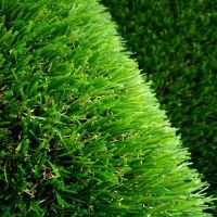 Artificial Grass Turf Landscape