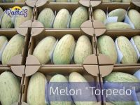 Fresh Melon