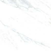 50X50 glossy tile