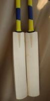 cricket hard ball bats