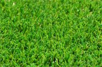 Artificial grass/Synthetic turf/Backyard lawn/Garden grass