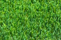 Artificial grass/Synthetic turf/Backyard lawn/Garden grass