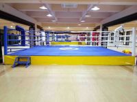 ROCSON Factory Custom High-level Boxing