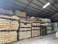 Grade AA Uganda Robusta Coffee beans
