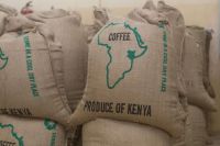 Buy Arabica Coffee beans in Kenya