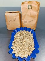 Arabica Coffee beans for sale
