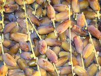 Dattes Deglet Nour