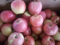 (cheaper) Golden Delicious  Fresh Apples 